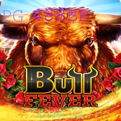 Descubra BullFever: O Jogo que Está Conquistando o Mundo